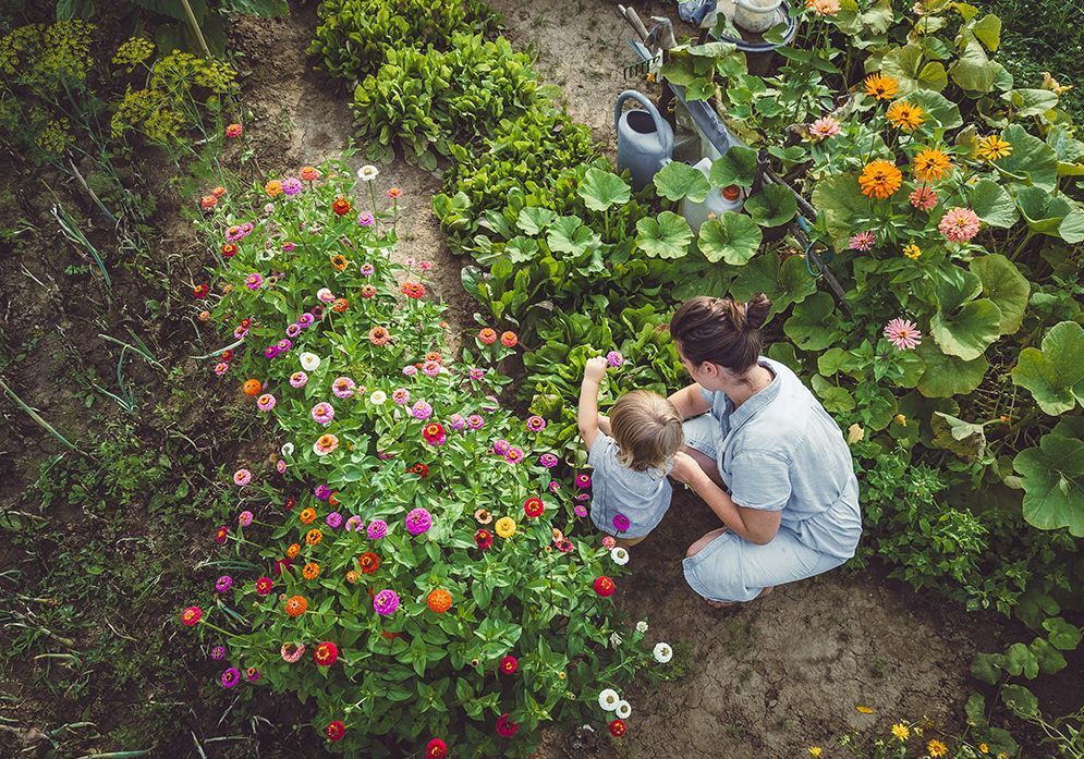 What to do in the garden in June?  - Elle Decoration